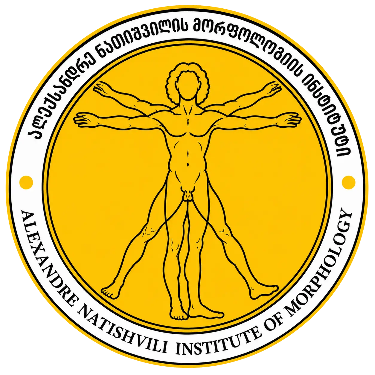 MI logo